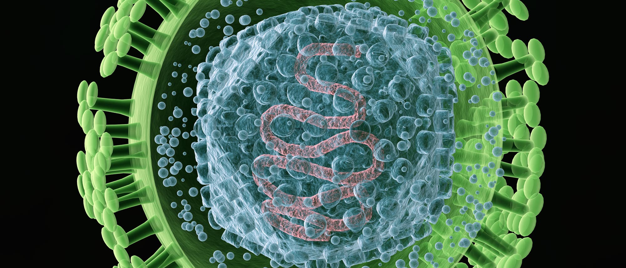 Viele Menschen sind mit Herpes-Viren infiziert