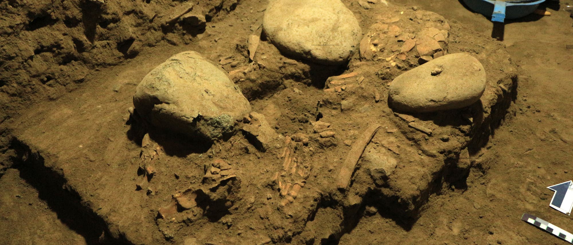 Das Skelett von Leang Panninge in situ.