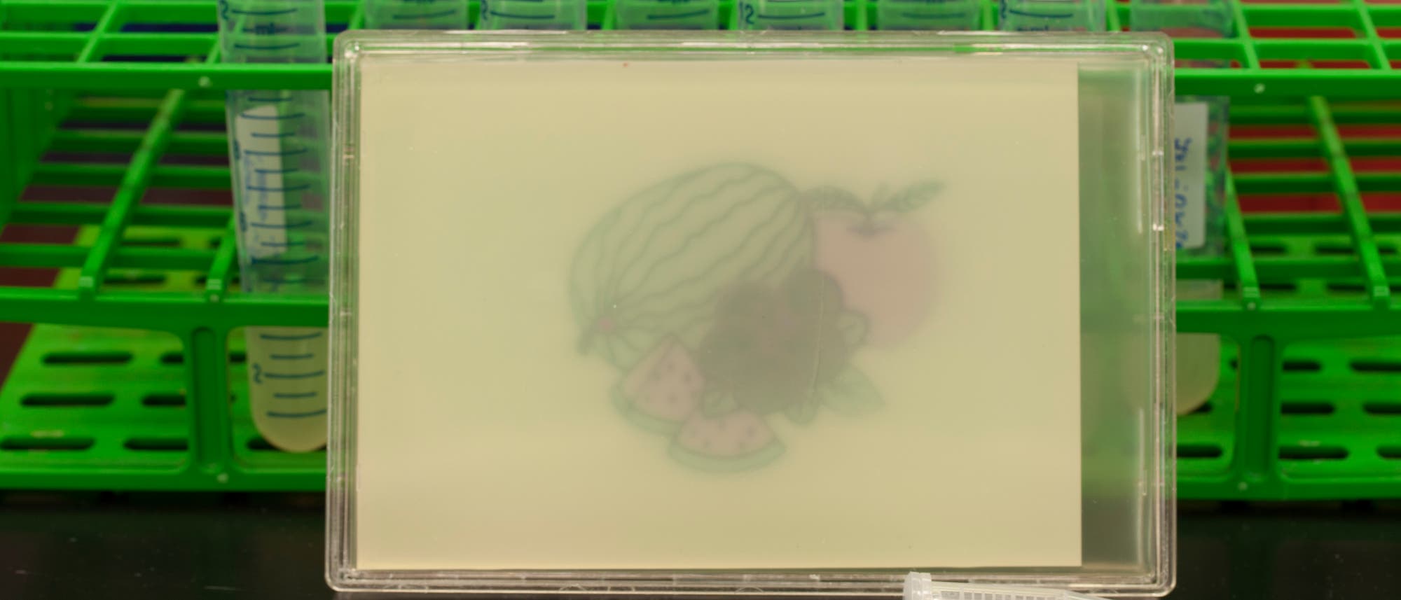 Bild "gemalt" von Escherichia coli Bakterien