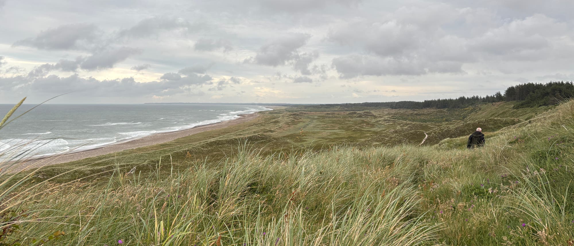 Küstenlandschaft mit Blick auf das Meer und eine weitläufige Dünenlandschaft. Im Vordergrund sind hohe Gräser und vereinzelte violette Blumen zu sehen. Eine Person in dunkler Kleidung geht durch die Dünen. Der Himmel ist bewölkt, und die Küstenlinie erstreckt sich bis zum Horizont.