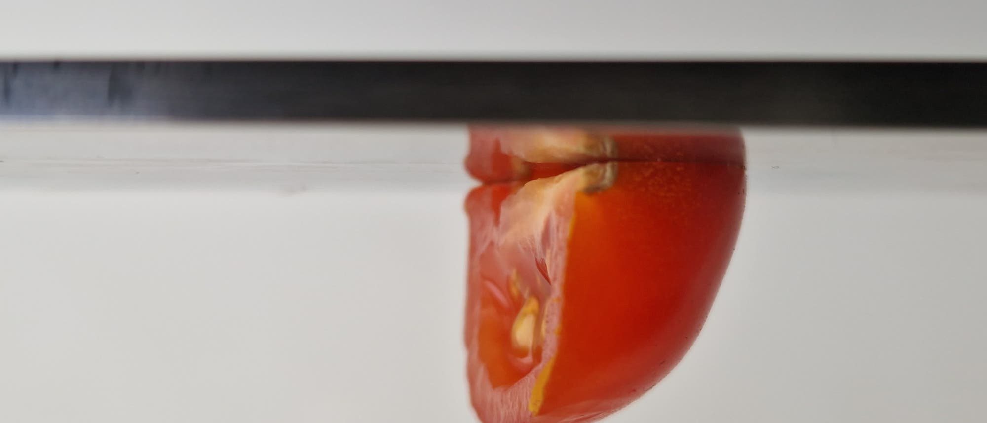 Eine Tomate hängt Kopfüber an einem Stück Metall.