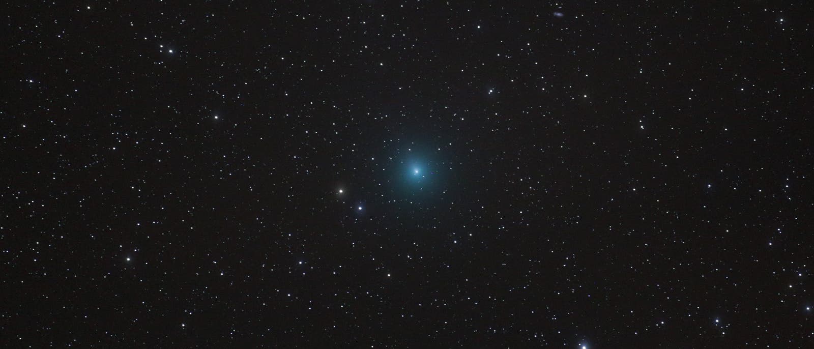 Der Komet Wirtanen Ende November 2018