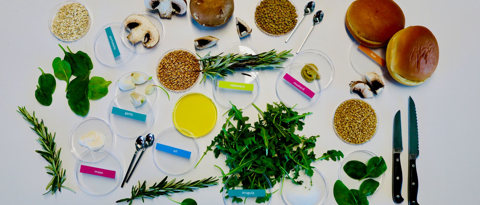 Eine Anordnung von Zutaten auf einem wei&szlig;en Hintergrund, die f&uuml;r die Zubereitung eines Gerichts verwendet werden k&ouml;nnten. Zu sehen sind Pilze, Spinatbl&auml;tter, Knoblauchzehen, Rosmarinzweige, Rucola, Senf, Mayonnaise, &Ouml;l, Haferflocken, Linsen, Weizenk&ouml;rner und zwei Br&ouml;tchen. Die Zutaten sind in kleinen, beschrifteten Schalen angeordnet. Zwei L&ouml;ffel und zwei Messer liegen daneben. Die Beschriftungen umfassen Begriffe wie "garlic", "mayo", "oil", "rosemary", "mustard", "arugula" und "bun".