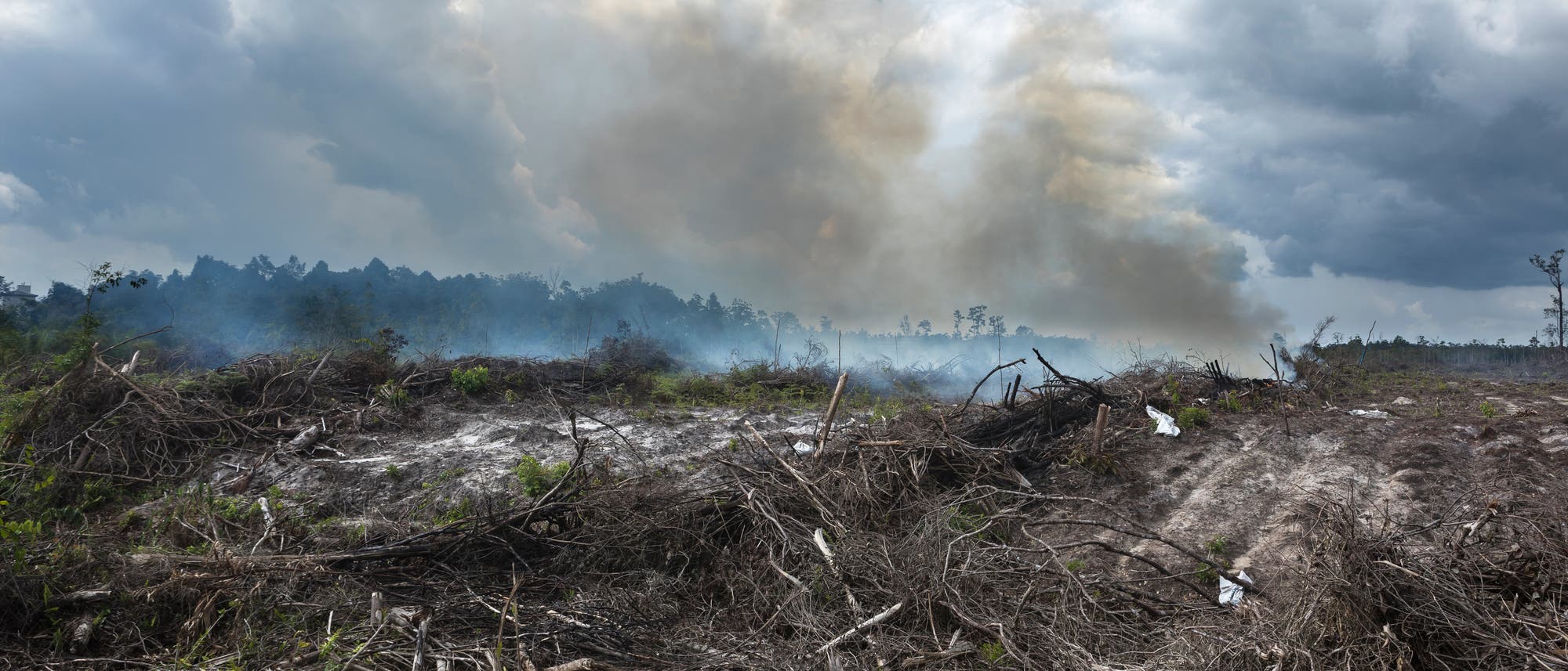 Rodungsfeuer in Indonesien (Archivbild)