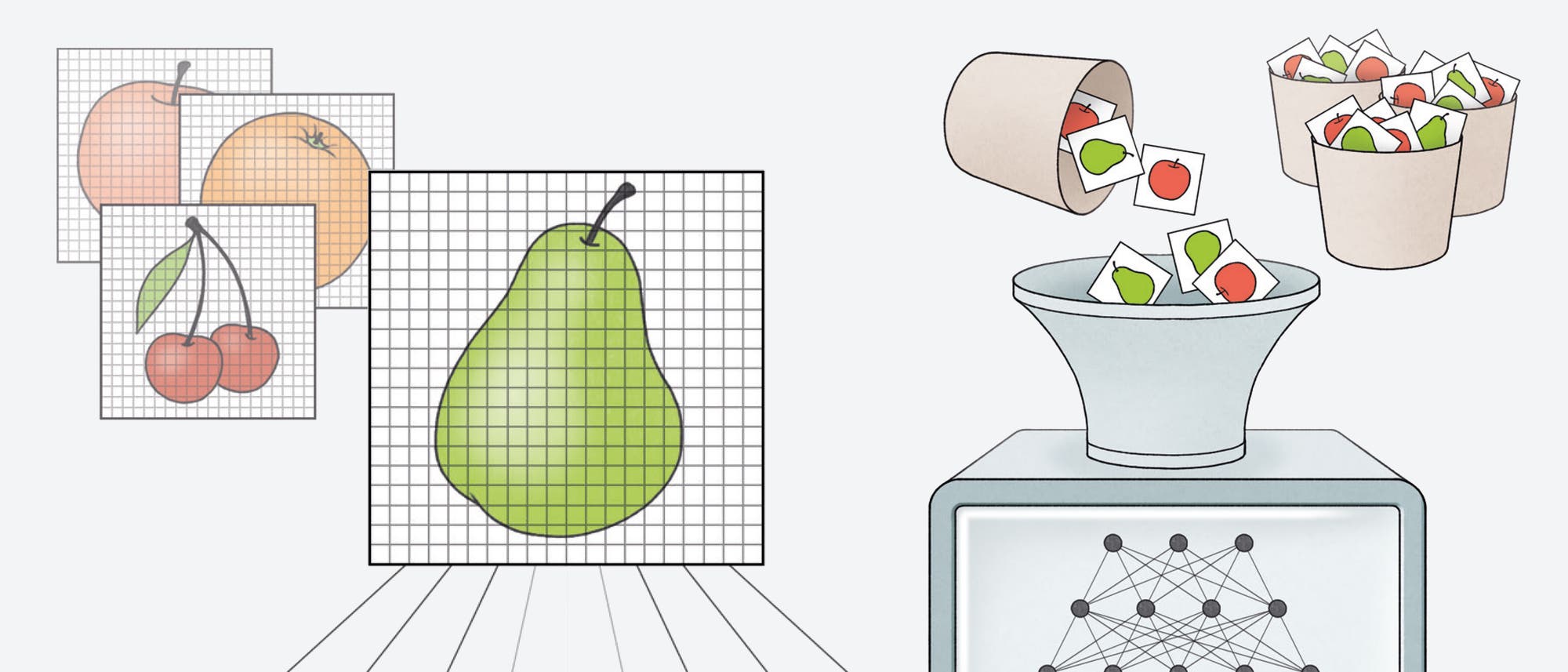 Eine Illustration, die den Prozess der Bildverarbeitung in einem neuronalen Netzwerk darstellt. Links sind verschiedene Früchte wie ein Apfel, eine Orange, Kirschen und eine Birne auf Gittern abgebildet. Diese Bilder werden in ein neuronales Netzwerk eingespeist, das durch ein Diagramm mit verbundenen Knoten dargestellt wird. Rechts werden die verarbeiteten Bilder in Kategorien sortiert, wobei ein Trichter die Bilder in zwei Behälter leitet, die mit Symbolen für Äpfel und Birnen gekennzeichnet sind. Die Illustration zeigt den Prozess der Klassifizierung und Sortierung von Bildern durch maschinelles Lernen.