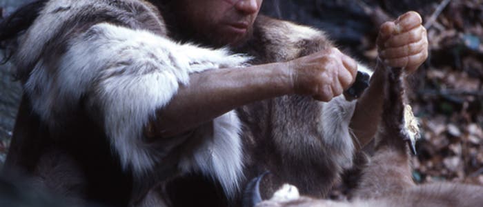 Neandertaler war Homo sapiens zahlenmäßig unterlegen