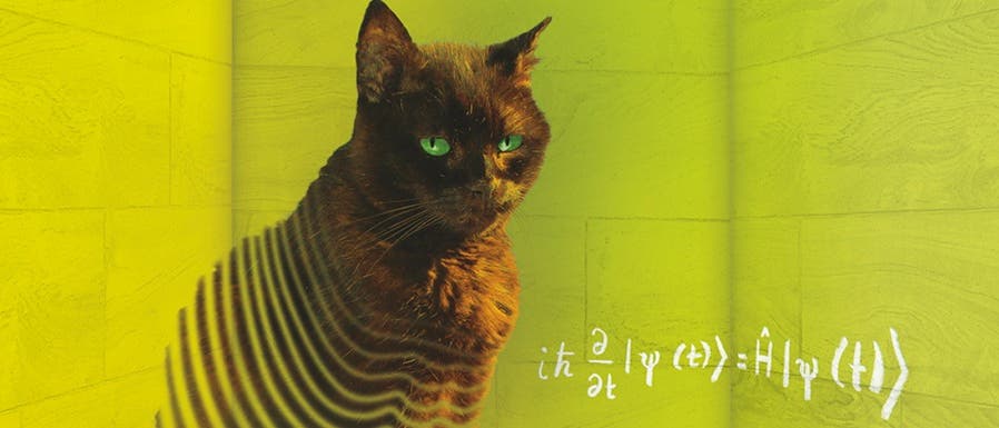 Eine k&uuml;nstlerische Darstellung einer schwarzen Katze mit leuchtend gr&uuml;nen Augen vor einem gelben Hintergrund. Die Katze ist von wellenf&ouml;rmigen Linien umgeben, die eine Verzerrung andeuten. Rechts unten im Bild befindet sich eine mathematische Formel in wei&szlig;er Schrift: \( i\hbar \frac{\partial}{\partial t} \psi (t) = \hat{H} \psi (t) \). Die Szene kombiniert Elemente von Kunst und Wissenschaft, indem sie visuelle und mathematische Konzepte vereint.