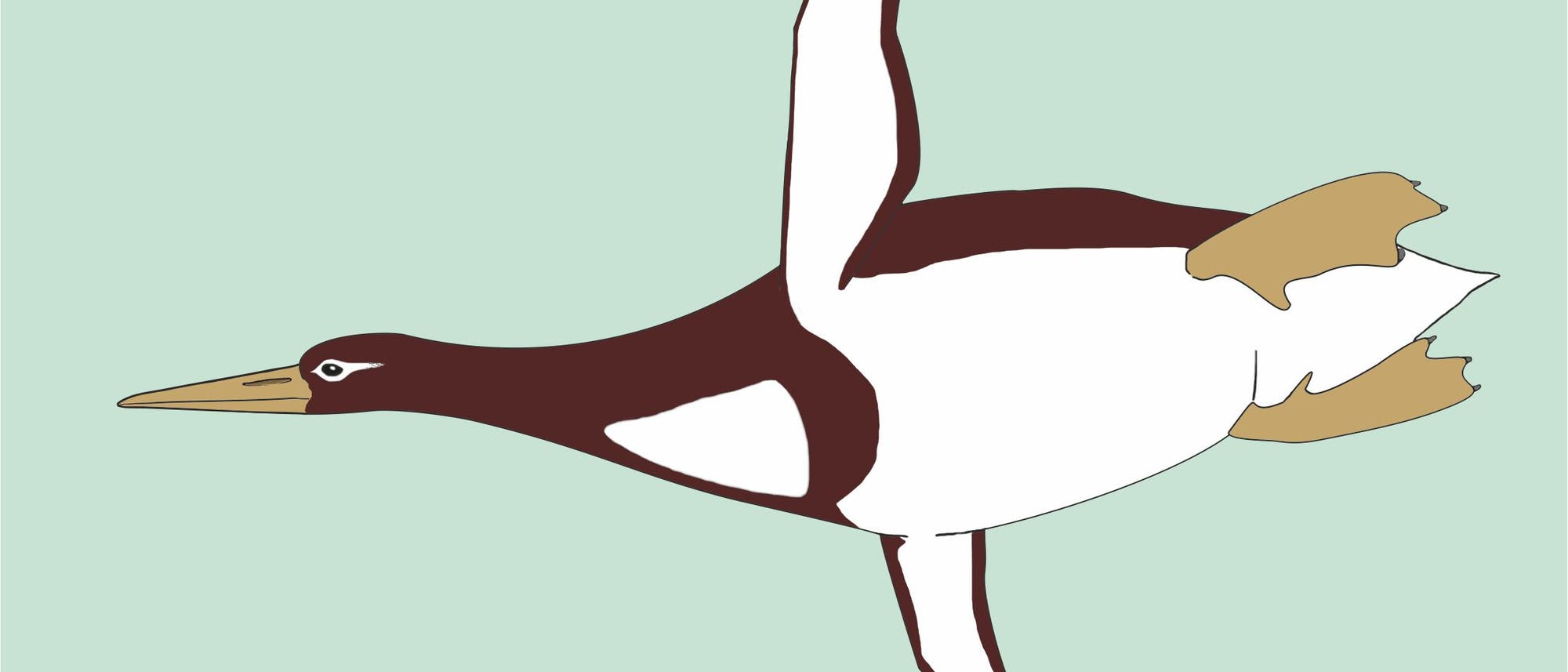 Künstlerische Darstellung des Riesenpinguins Kumimanu biceae
