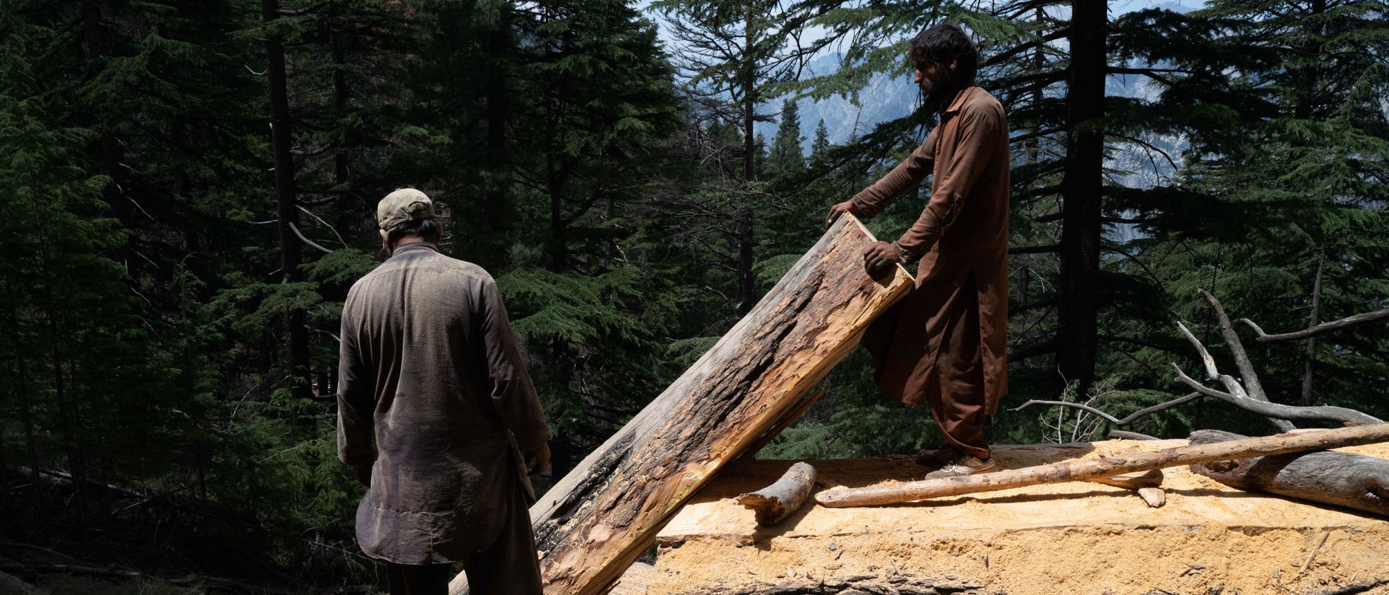 Die beiden Holzfäller, Dilaram und Sanaullah, zerkleinern einen großen Baum in rechteckige Stücke. 