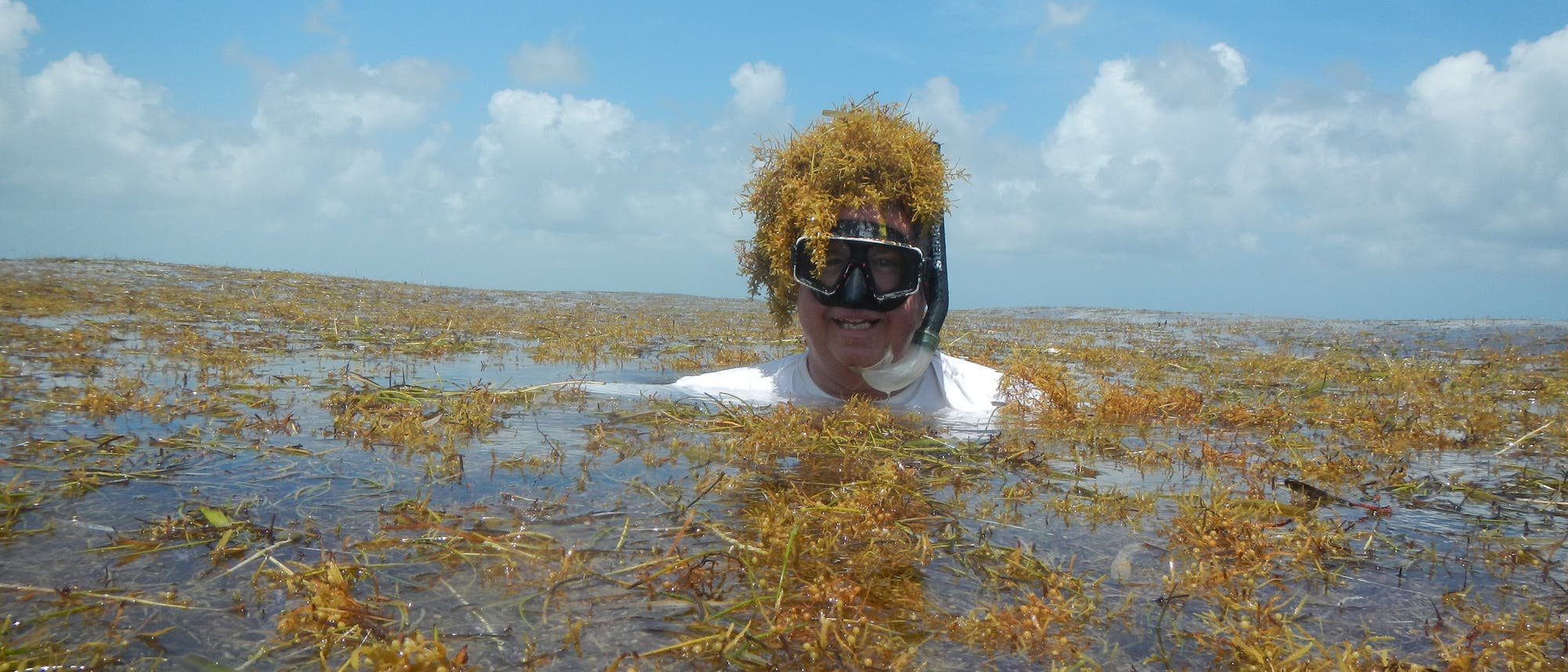 Eine Person mit Schnorchelmaske schwimmt in einem mit Braunalgen bedeckten Meer. Die Person lächelt und hat Algen auf dem Kopf. Der Himmel ist klar mit einigen Wolken. Eine Person mit Schnorchelmaske schwimmt in einem mit Braunalgen bedeckten Meer. Die Person lächelt und hat Algen auf dem Kopf. Der Himmel ist klar mit einigen Wolken.