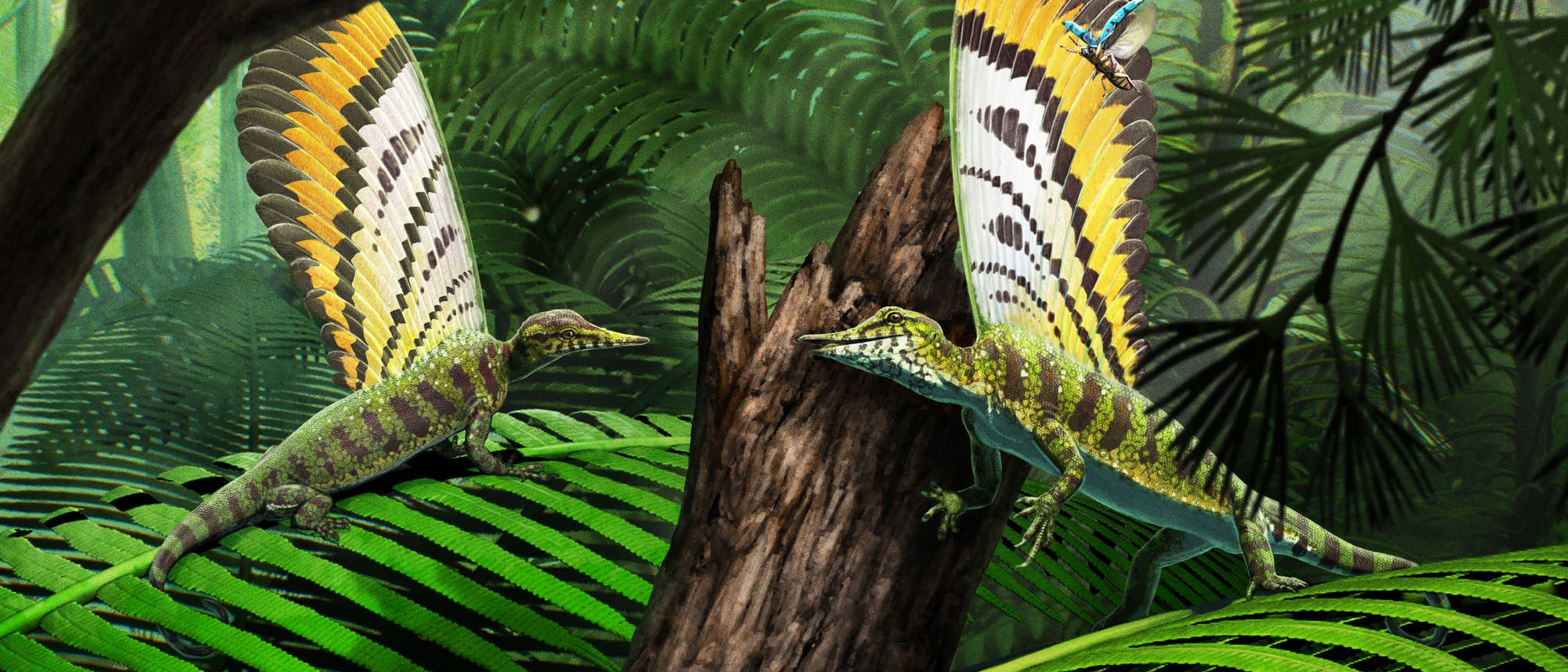 Illustration von zwei Reptilien in einem dichten, grünen Dschungel. Beide Tiere haben auffällige, bunte Auswüchse auf ihren Rücken mit gelben, weißen und schwarzen Streifen. Sie stehen auf großen Farnblättern, umgeben von üppiger Vegetation. Ein Insekt fliegt vorbei. Die Szene vermittelt eine lebendige, urzeitliche Atmosphäre.