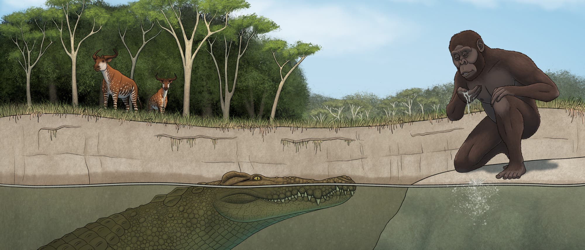 Eine k&uuml;nstlerische Illustration zeigt eine Szene in der Natur. Im Vordergrund kniet ein menschen&auml;hnliches Wesen am Ufer eines Gew&auml;ssers und trinkt Wasser mit den H&auml;nden. Unter der Wasseroberfl&auml;che ist ein Krokodil zu sehen, das in Richtung des Wesens blickt. Im Hintergrund stehen zwei okapi&auml;hnliche Tiere am Waldrand. Die Szene vermittelt eine ruhige, aber spannungsvolle Atmosph&auml;re.