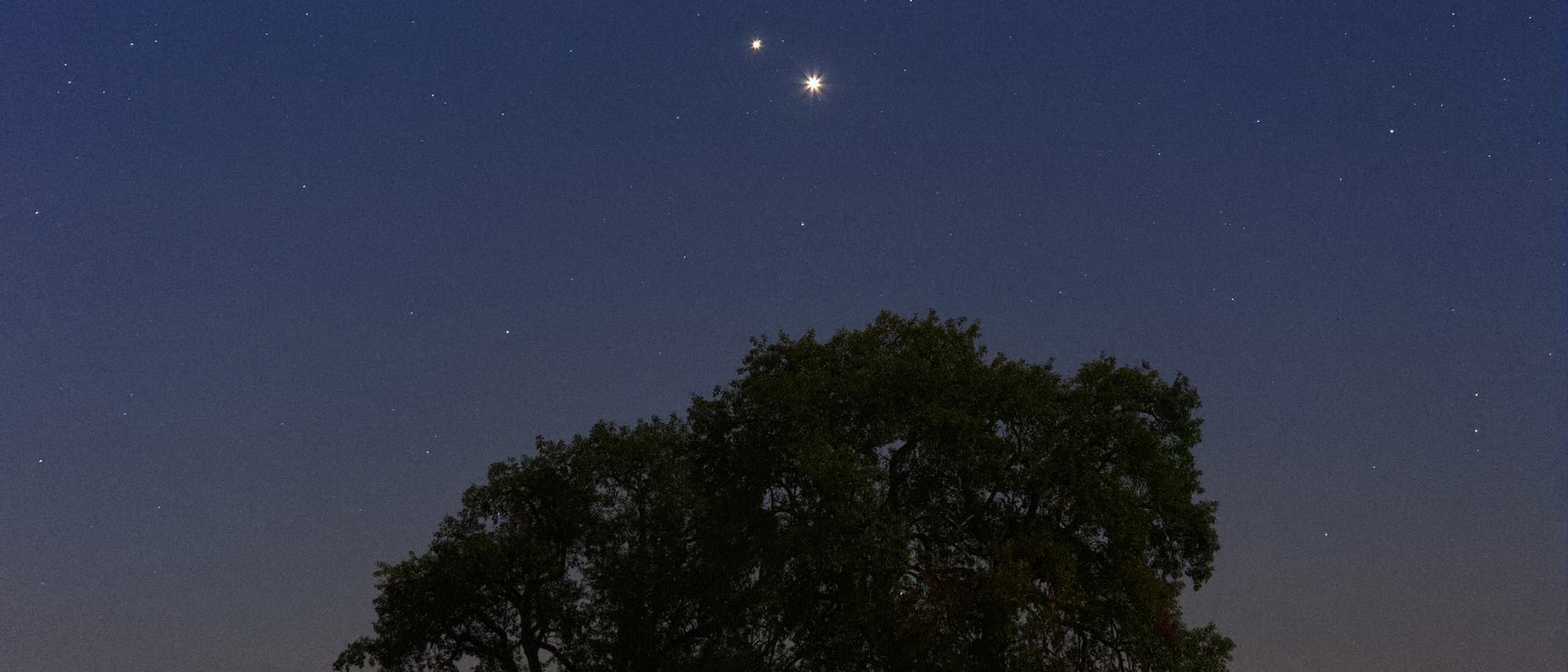 Dos árboles están debajo de un cielo claro en un paisaje nocturno. Hay dos cuerpos celestes ligeros visibles en los árboles, que probablemente son planetas. El cielo está disperso con muchas pequeñas estrellas. La escena transmite un ambiente tranquilo y nocturno. Dos árboles están debajo de un cielo claro en un paisaje nocturno. Hay dos cuerpos celestes ligeros visibles en los árboles, que probablemente son planetas. El cielo está disperso con muchas pequeñas estrellas. La escena transmite un ambiente tranquilo y nocturno.