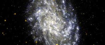 M33 ultraviolett (Galex)