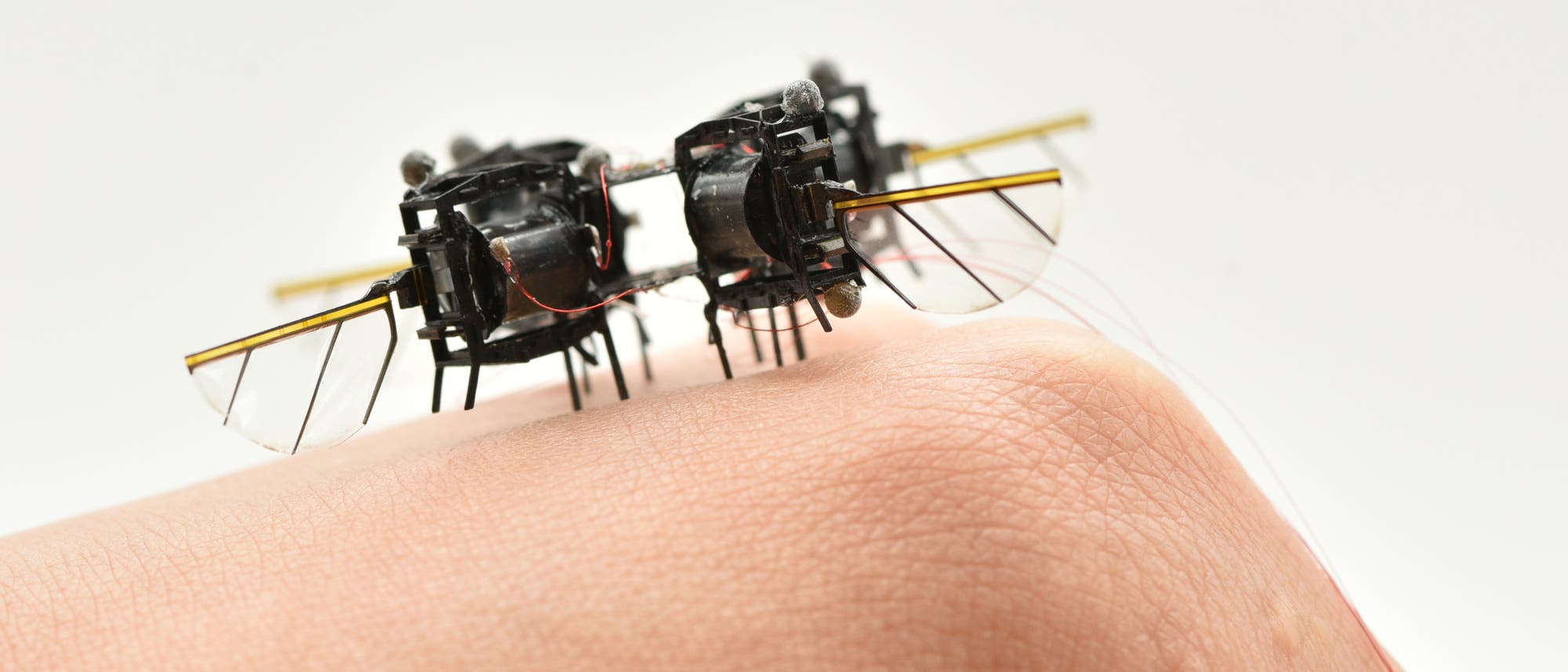 Eine kleine, mechanische Drohne mit transparenten Flügeln und dünnen Beinen steht auf einer menschlichen Hand. Die Drohne hat eine komplexe Struktur mit sichtbaren Drähten und Komponenten, die an Insektenflügel erinnern. Die Szene zeigt die Drohne in einer ruhigen Position, was auf ihre geringe Größe und Leichtigkeit hinweist. Der Hintergrund ist neutral, wodurch der Fokus auf der Drohne liegt.