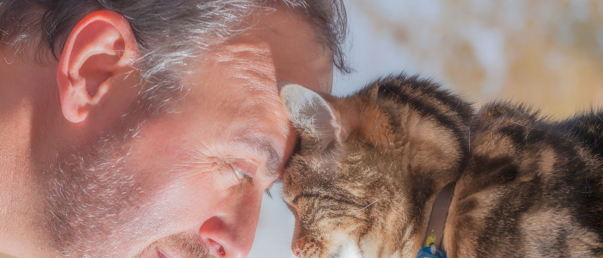 Mann kuschelt mit seiner Katze