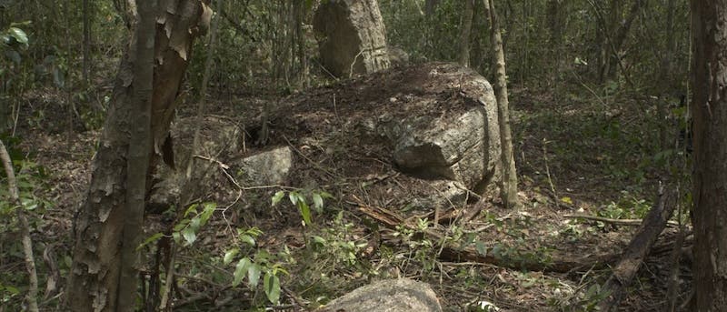 Eine bewaldete Szene mit mehreren großen, moosbedeckten Felsbrocken, die unregelmäßig auf dem Waldboden verteilt sind. Die Umgebung ist dicht mit Bäumen und Unterholz bewachsen. Eine bewaldete Szene mit mehreren großen, moosbedeckten Felsbrocken, die unregelmäßig auf dem Waldboden verteilt sind. Die Umgebung ist dicht mit Bäumen und Unterholz bewachsen.