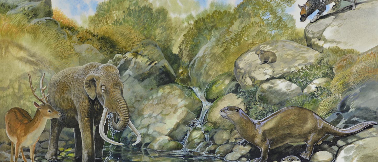 Illustration ausgestorbener Säugetiere von Sardinien