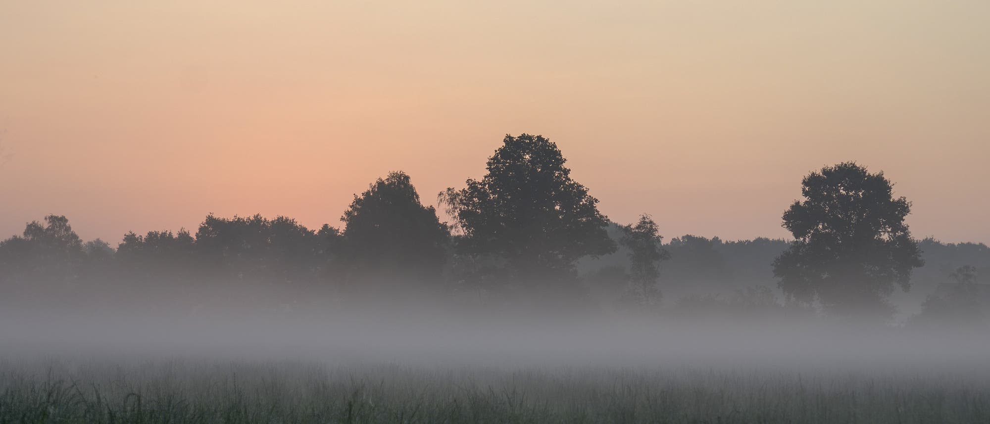Ein typischer Anblick im Herbst: Nach den doch schon langen und kühlen Nächten wabert morgens Nebel über Felder und Wiesen.