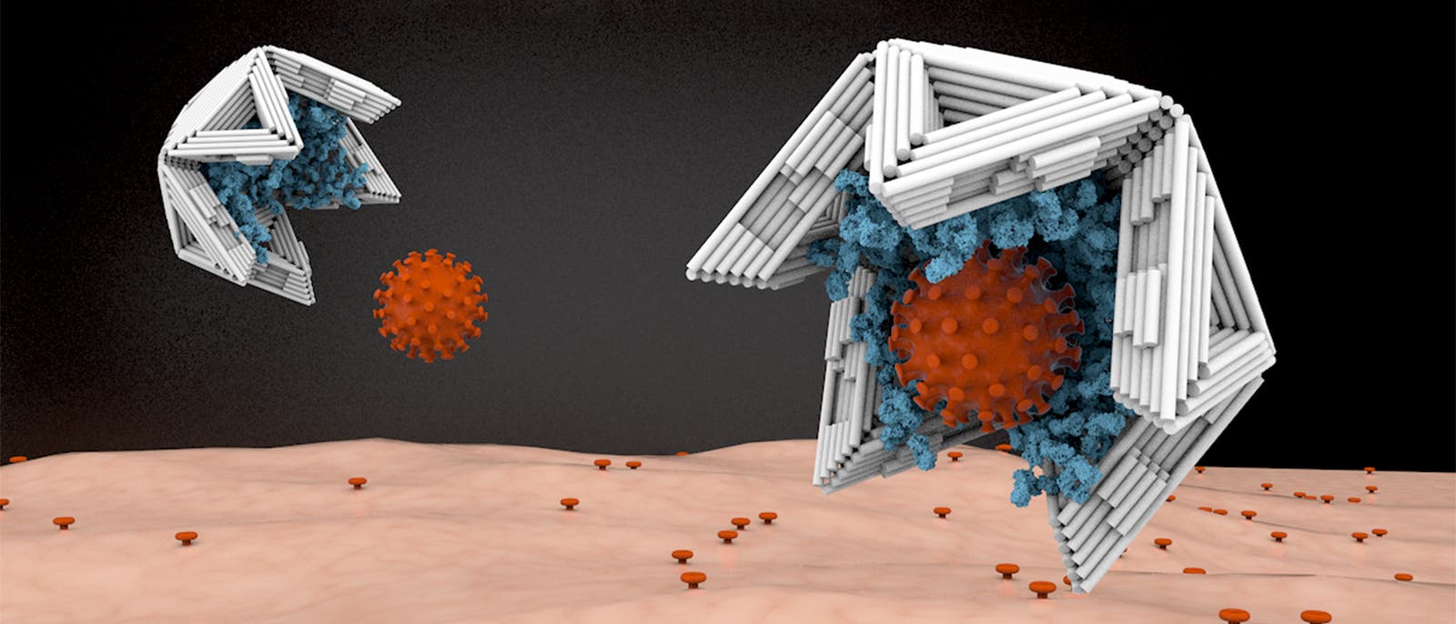 Nano-Schalen fangen Viren