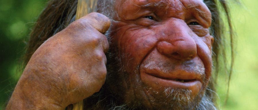 Neandertaler bauten Häuser aus Mammutknochen
