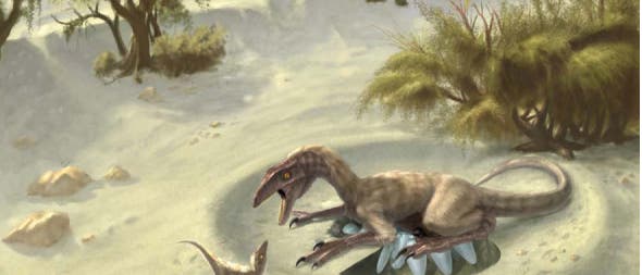 Brütender Oviraptor
