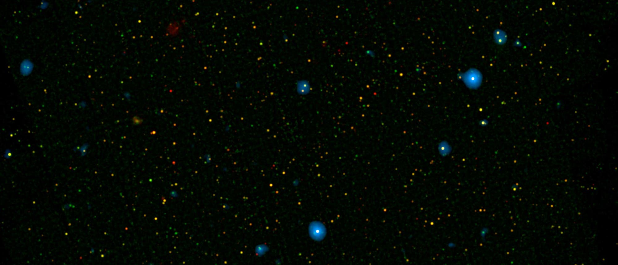 Schwarze Löcher im COSMOS-Feld, Komposit aus Aufnahmen der Röntgensatelliten Chandra und NuSTAR