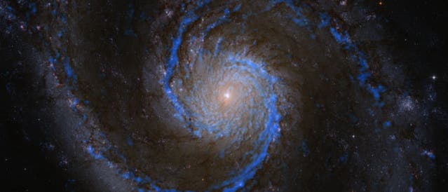 Die Verteilung molekularen Gases in der Spiralgalaxie M 51