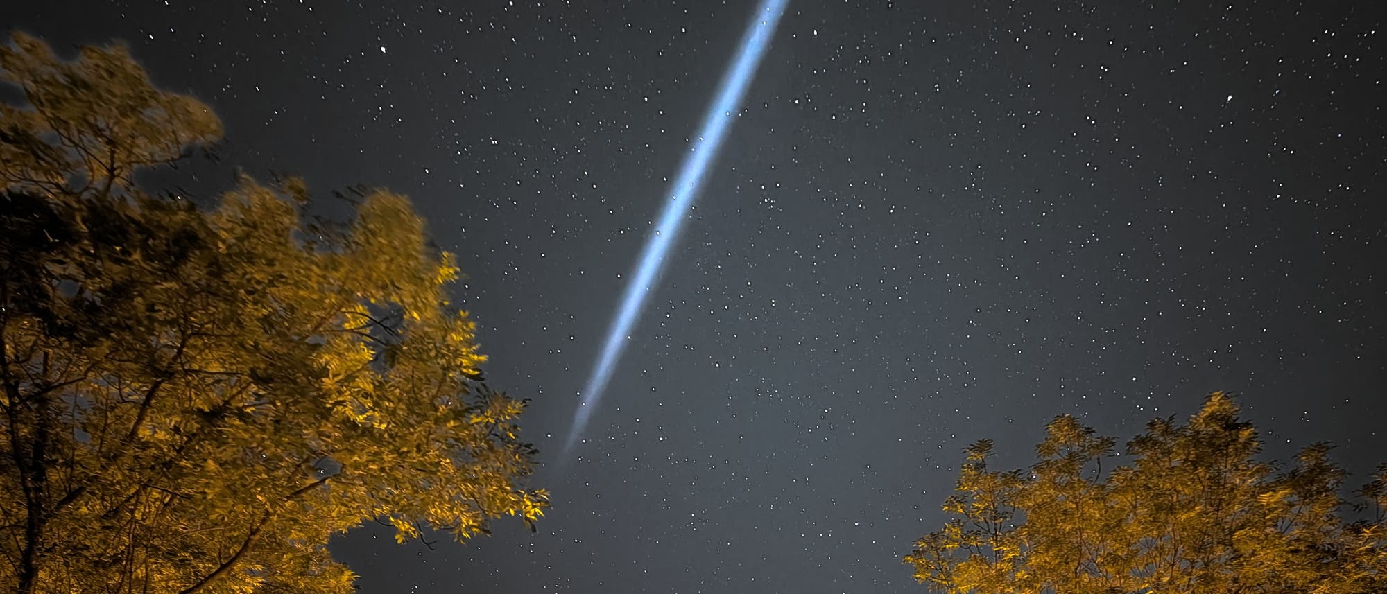 Ein klarer Nachthimmel mit zahlreichen Sternen. Ein heller, diagonaler Lichtstrahl durchquert das Bild von oben links nach unten rechts. Im Vordergrund sind die Silhouetten von Bäumen zu sehen, die von unten beleuchtet werden. Der Lichtstrahl könnte auf ein astronomisches Phänomen wie einen Meteor oder Kometen hinweisen.