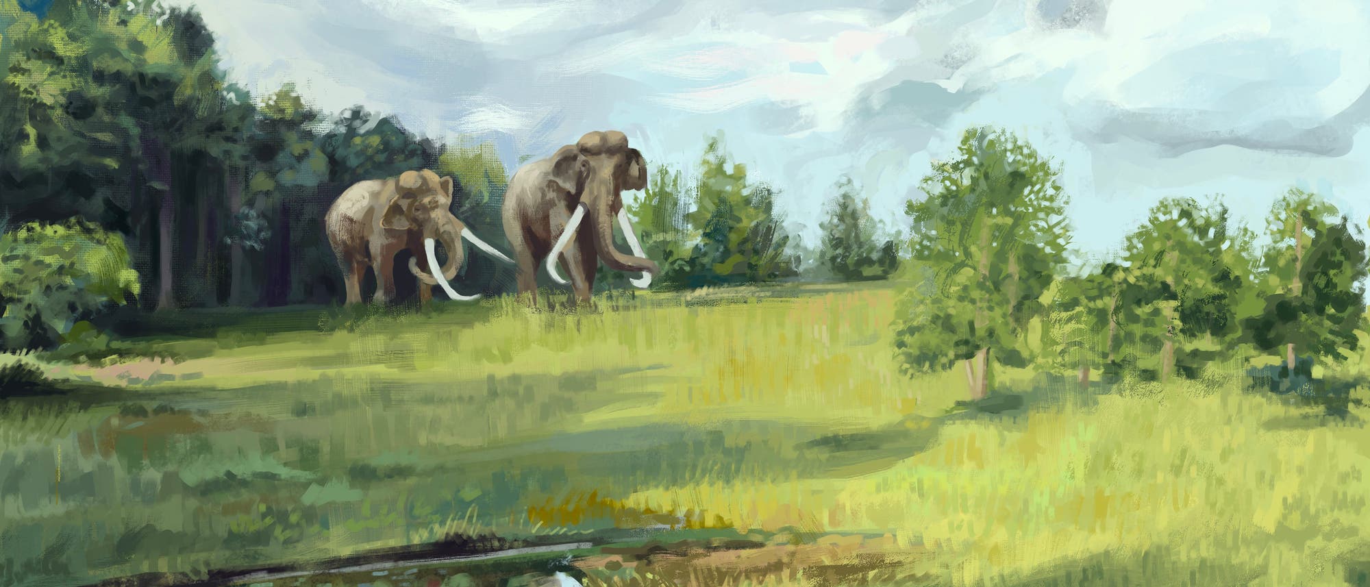 Illustration einer prähistorischen Landschaft in Europa: Elefanten betreten eine Lichtung aus einem Wald heraus. Einzelne kleine Bäume stehen im Offenland