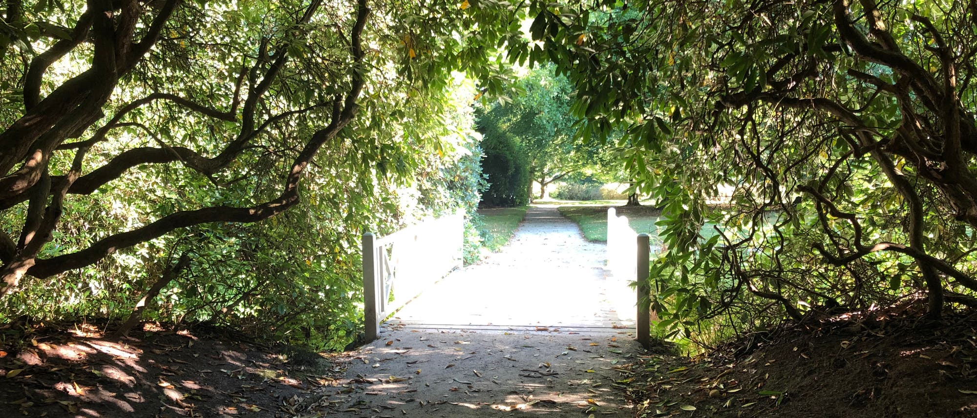 Ein von Bäumen gesäumter Fußweg im Park, der über eine im Sonnenlicht weiß strahlende Brücke führt Ein von Bäumen gesäumter Fußweg im Park, der über eine im Sonnenlicht weiß strahlende Brücke führt