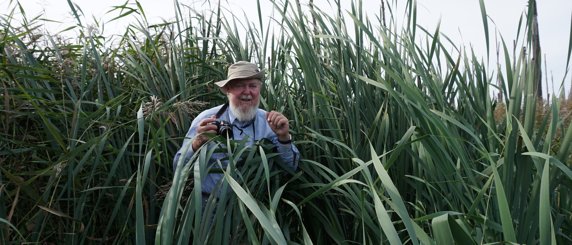 Eine Person steht inmitten hoher Schilfpflanzen und h&auml;lt eine Kamera in den H&auml;nden. Die Person tr&auml;gt einen Hut und l&auml;chelt. Die Umgebung ist dicht bewachsen, was auf ein nat&uuml;rliches Feuchtgebiet hindeutet. Der Himmel ist leicht bew&ouml;lkt.