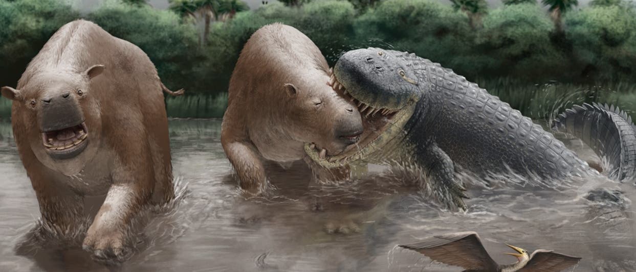 Eine künstlerische Darstellung zeigt zwei große, bärenähnliche Tiere, die durch flaches Wasser laufen. Eines der Tiere wird von einem großen Krokodil angegriffen, das seine Zähne in das Tier schlägt. Im Vordergrund ist ein Vogel mit ausgebreiteten Flügeln zu sehen, während im Hintergrund eine dichte Vegetation aus Bäumen und Sträuchern die Szene umrahmt. Der Himmel ist bewölkt, und einige Vögel fliegen in der Ferne. Eine künstlerische Darstellung zeigt zwei große, bärenähnliche Tiere, die durch flaches Wasser laufen. Eines der Tiere wird von einem großen Krokodil angegriffen, das seine Zähne in das Tier schlägt. Im Vordergrund ist ein Vogel mit ausgebreiteten Flügeln zu sehen, während im Hintergrund eine dichte Vegetation aus Bäumen und Sträuchern die Szene umrahmt. Der Himmel ist bewölkt, und einige Vögel fliegen in der Ferne.