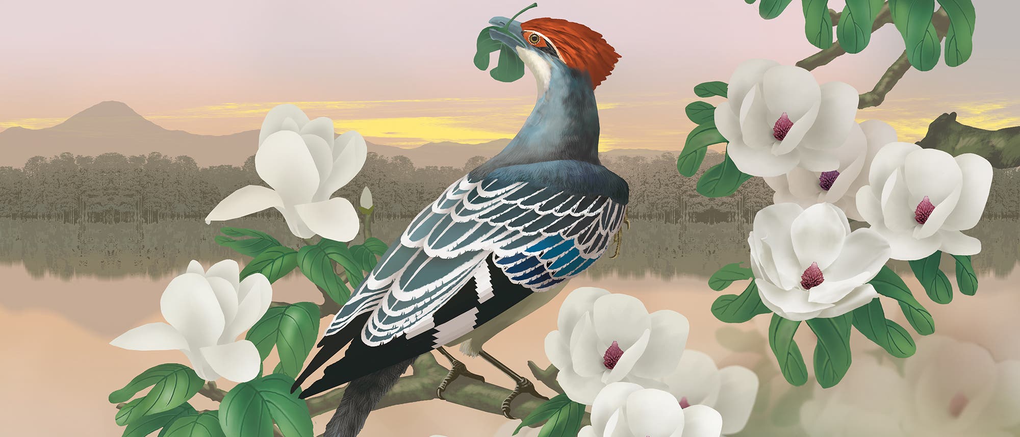 Diese Illustration zeigt eine Rekonstruktion von Jeholornis, einem frühen Vogel, der auf einem Ast sitzt und Blätter frisst.