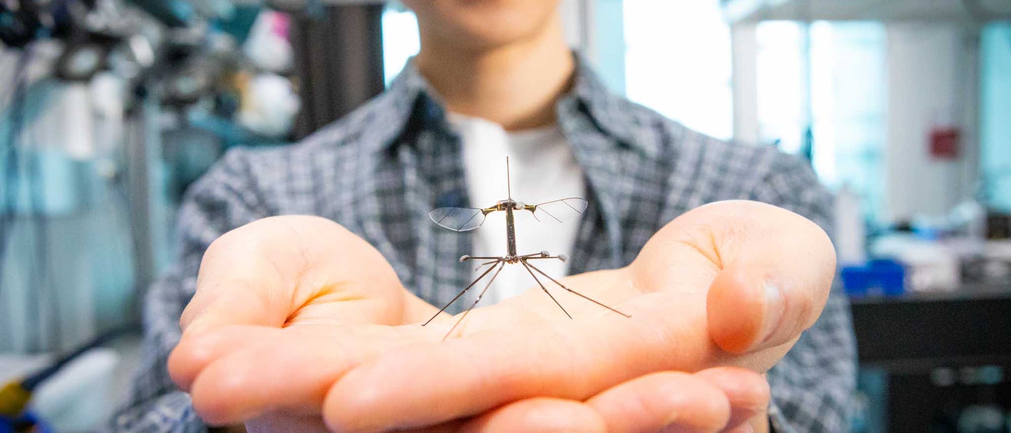 Drei kleine fliegende Roboter, die wie Insekten aussehen, stehen nebeneinander auf einer reflektierenden Oberfläche. Links befindet sich eine Münze als Größenvergleich. Die Roboter haben dünne Beine und durchsichtige Flügel. Der rechte Roboter ist auf einem weißen Block montiert. Der Hintergrund ist neutral grau.