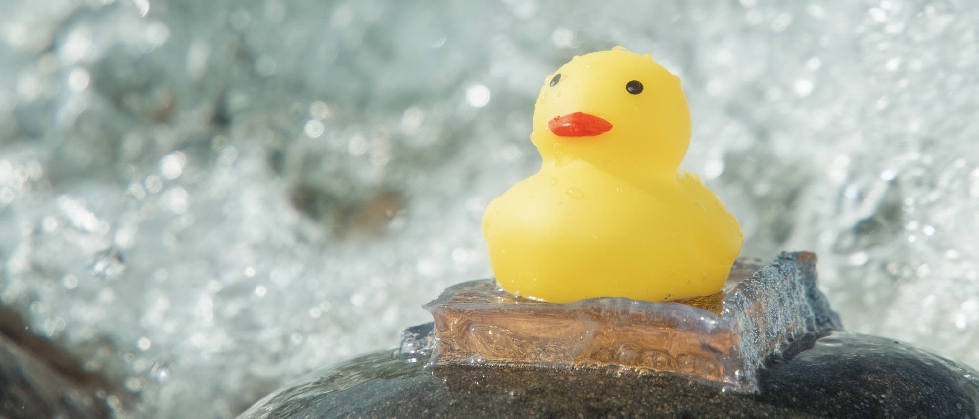 Eine gelbe Gummiente sitzt auf einem Stück transparentem Hydrogel, das auf einem nassen, glatten Stein am Meer platziert ist. Im Hintergrund ist die schäumende Brandung zu sehen.