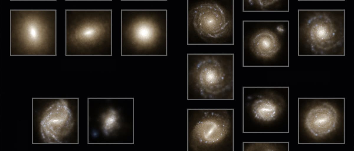 Illustris-Simulation von Galaxien im Universum