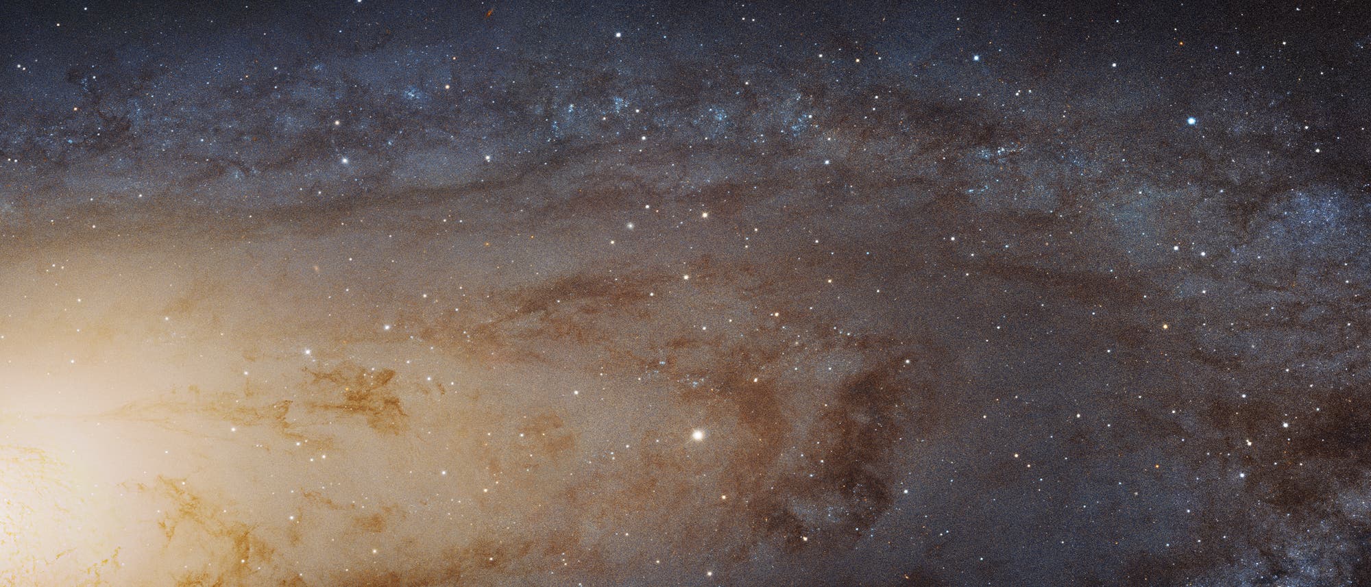 Schärfste Aufname der Andromedagalaxie 