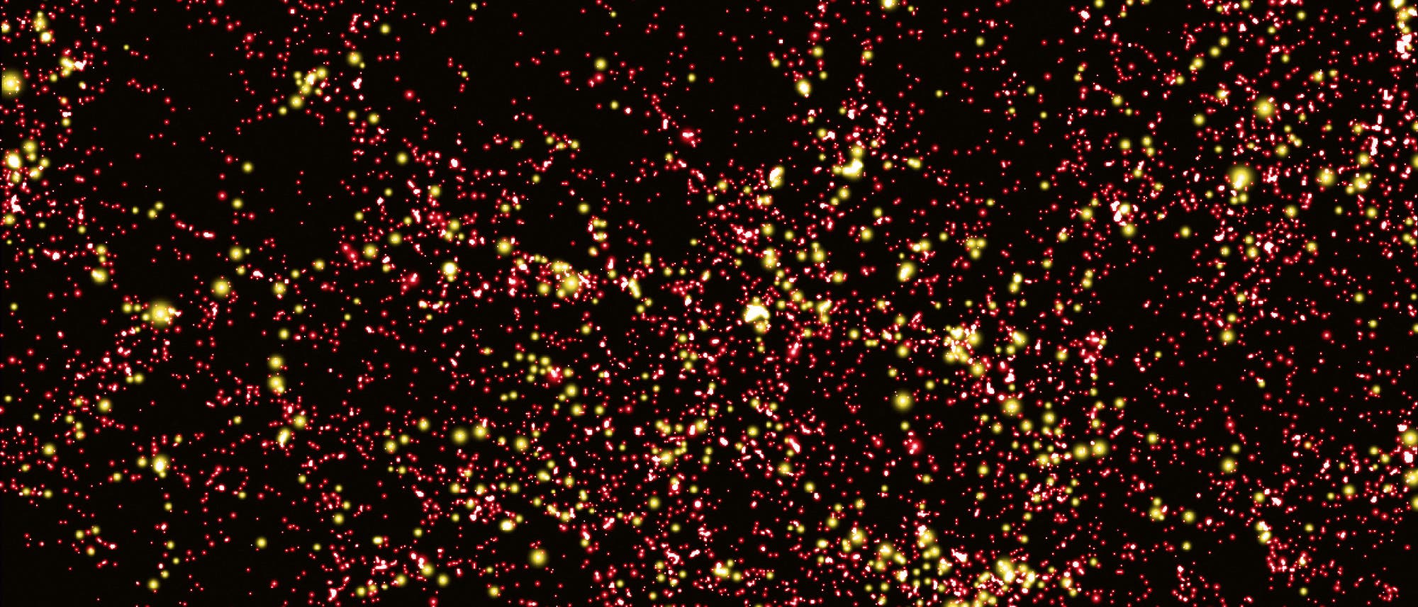 Eine Simulation zeigt die Verteilung der Dunklen Materie im frühen Universum. Große Anhäufungen Dunkler Materie sind rot dargestellt, Konzentrationen mit mehr als 300 Millionen Sonnenmassen gelb.