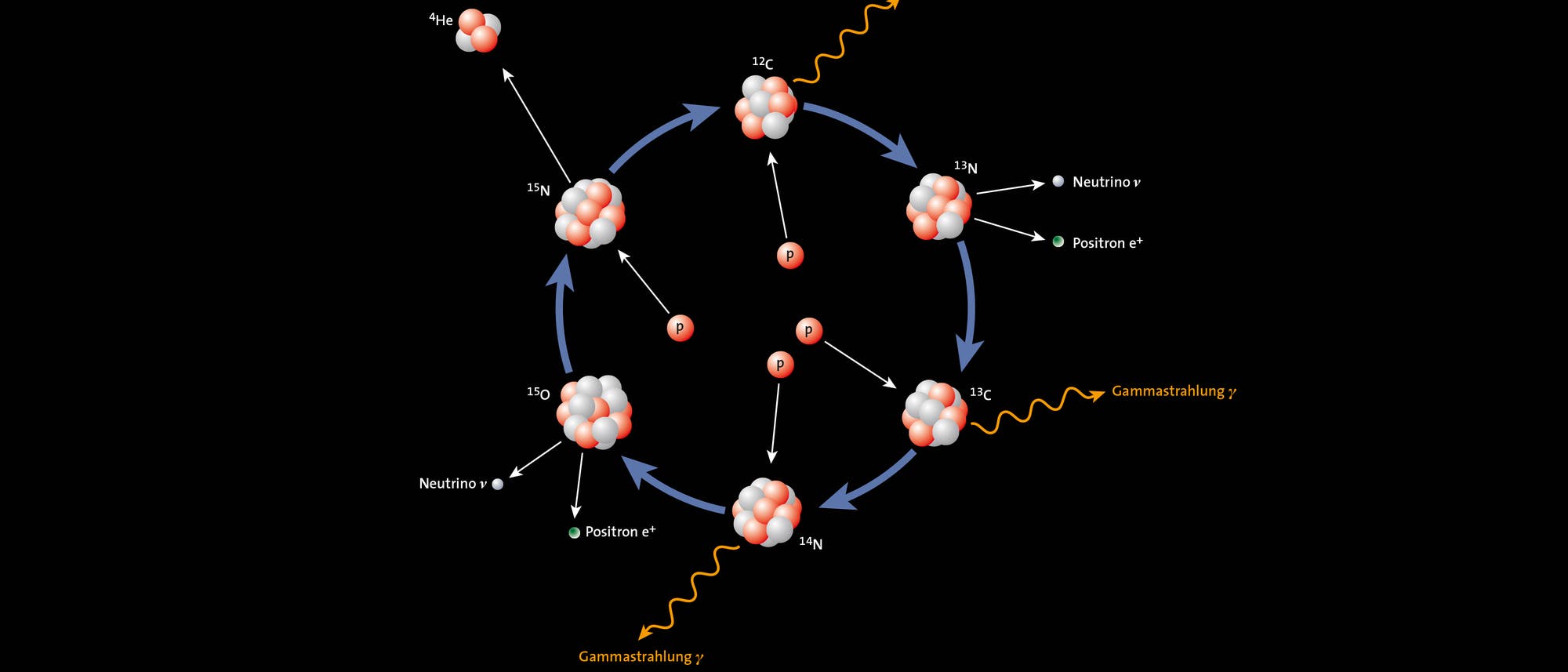 Wie aus vier Protonen (p, rot) unter Energiefreisetzung letztlich ein Heliumkern (4He) aus zwei Protonen und zwei Neu­tronen (grau) entstehen kann, erklärt ein Reaktionszyklus, an dem Kerne von Kohlenstoff (C), Stickstoff (N) und Sauerstoff (O) als Katalysatoren beteiligt sind.