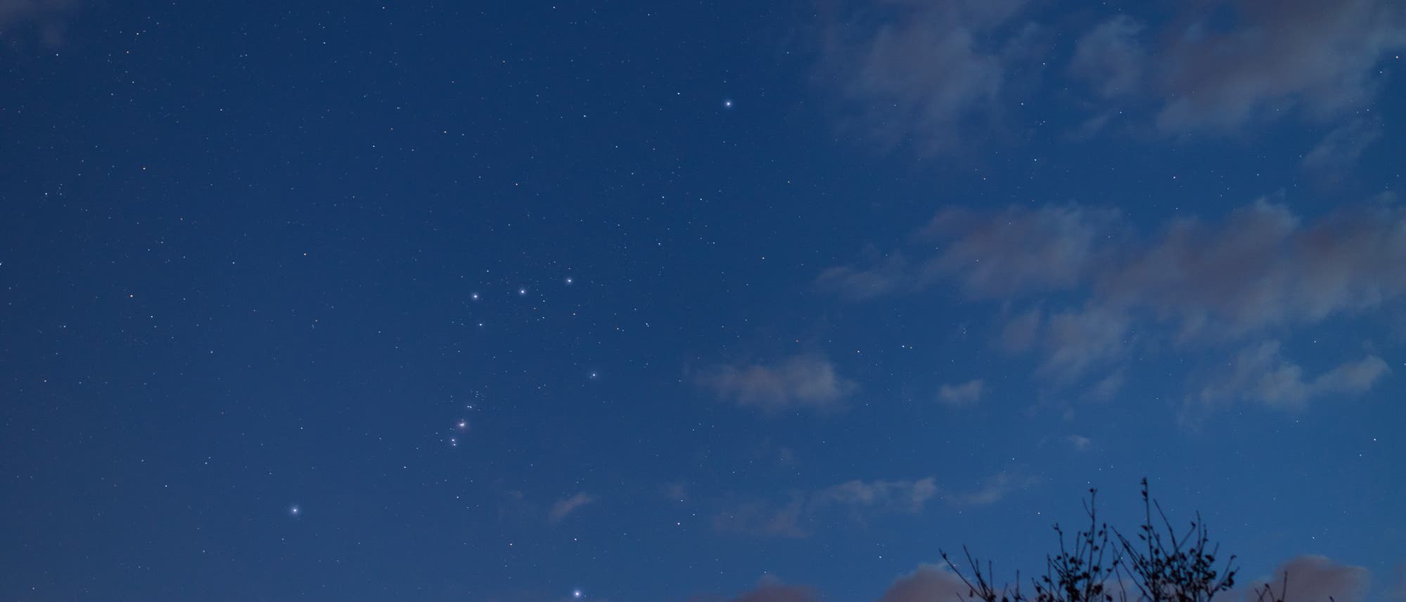 Orion am Winterhimmel