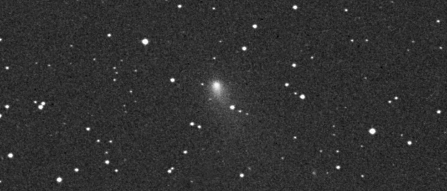 Entdeckungsaufnahme des Kometen 43P/Wolf-Harrington