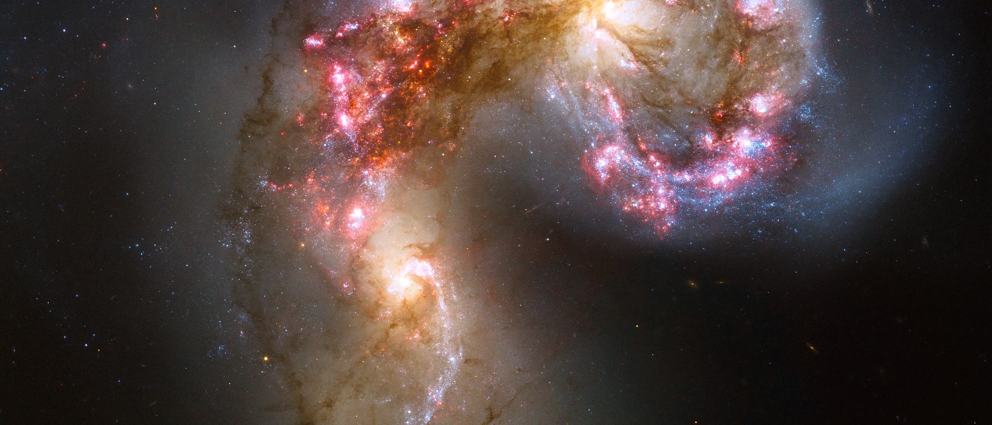 Eine bunte astronomische Aufnahme zweier kollidierender Galaxien, bekannt als die Antennen-Galaxien. Die Galaxien sind in einem dynamischen Tanz verwoben, mit leuchtenden Bereichen aus rosa und blauen Sternen, die durch die Kollision entstehen. Dunkle Staubwolken und helle Sternhaufen sind sichtbar, umgeben von einem Hintergrund aus tiefem Schwarz mit verstreuten Sternen. Die Aufnahme zeigt die komplexe Struktur und die beeindruckende Sch&ouml;nheit der galaktischen Wechselwirkung.