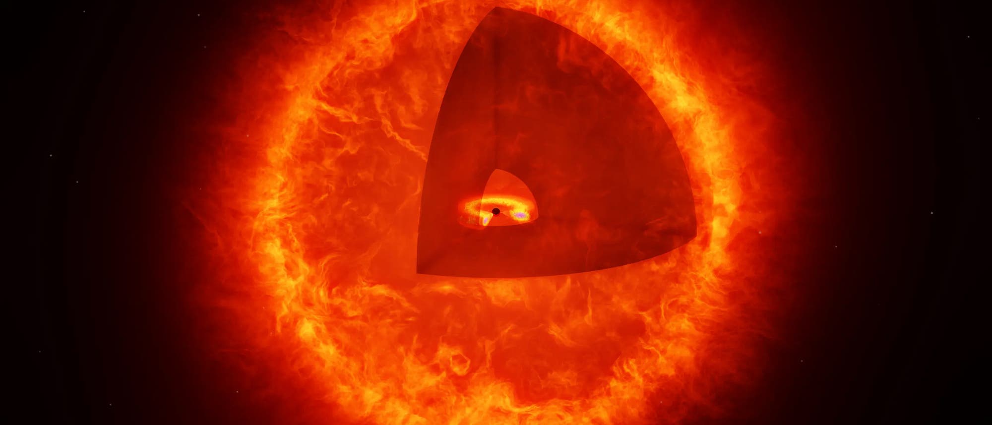 Eine künstlerische Darstellung eines Schwarzloch-Sterns mit einem ausgeschnittenen Segment, das das Innere zeigt. Im Zentrum des Sterns befindet sich eine schematische Darstellung eines Schwarzen Lochs, umgeben von einem leuchtenden Akkretionsring. Die äußere Hülle des Sterns ist in intensiven Rottönen dargestellt, die die Hitze und Energie des Sterns symbolisieren. 