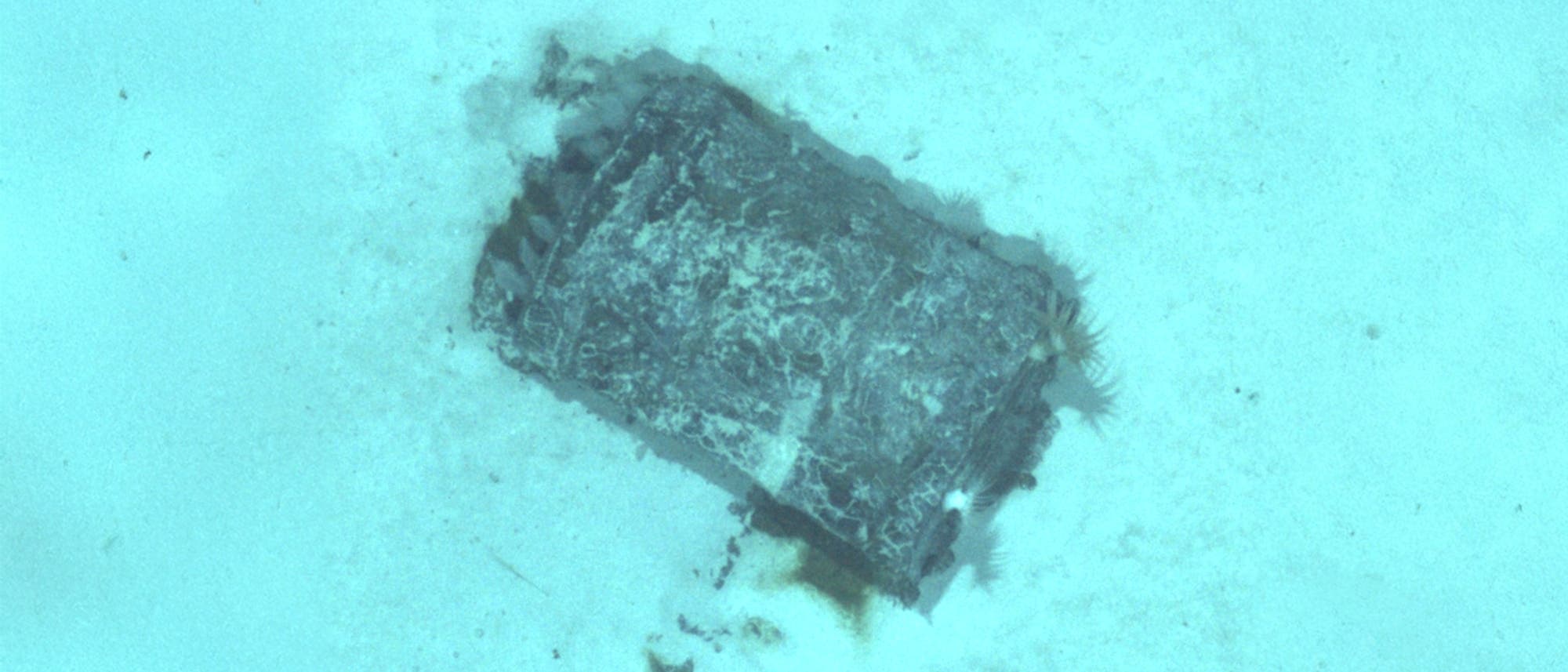 Unterwasseraufnahme eines rechteckigen Objekts, das teilweise im sandigen Meeresboden vergraben ist. Das Objekt ist von Meereslebewesen umgeben, die an den Rändern sichtbar sind. Die Umgebung ist von einem bläulichen Farbton geprägt, der typisch für Unterwasseraufnahmen ist.