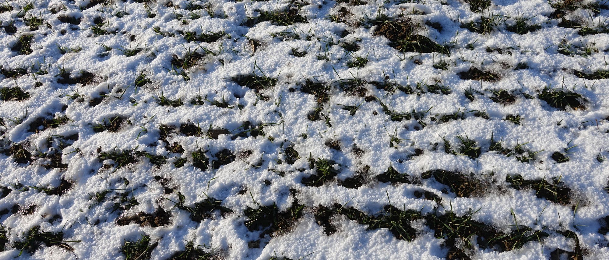 Zwischen Schnee und Eis