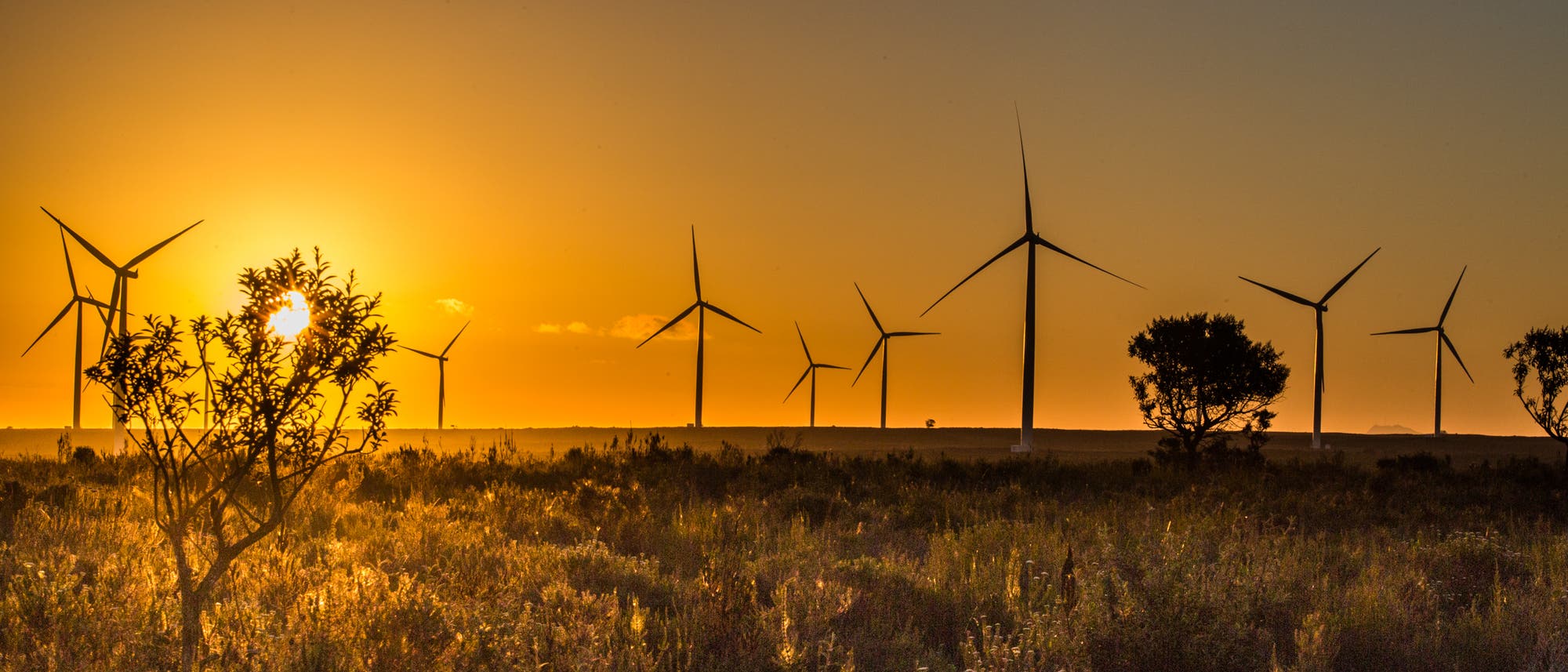 Die Jeffreys Bay Wind Farm an der windreichen Südküste Südafrikas westlich von Port Elizabeth liefert reichlich 50 Megawatt elektrische Energie im Jahresdurchschnitt – ausreichend für 100 000 Haushalte.