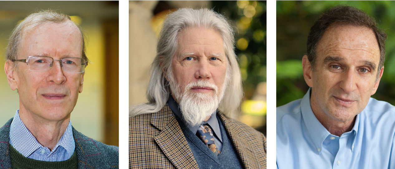 links: Andrew Wiles, Mitte: Whitfield Diffie, rechts: Martin Hellman