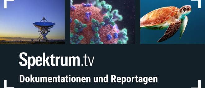 Spektrum.TV: Reportagen und Dokumentationen zu den Top-Themen der Wissenschaft