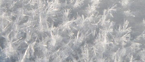 Frostblumen auf arktischem Eis